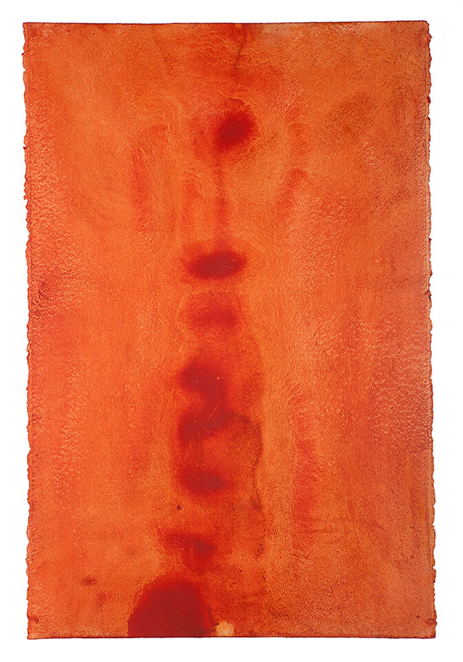 ACHIOTE papel 17.jpg